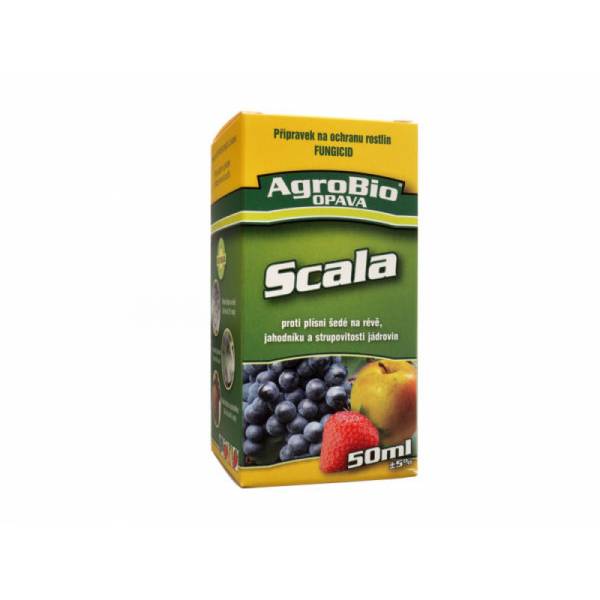 Scala 50 ml
